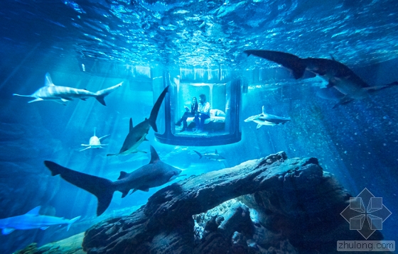 360度全透明水下居所与鲨鱼同居是怎样一种体验?