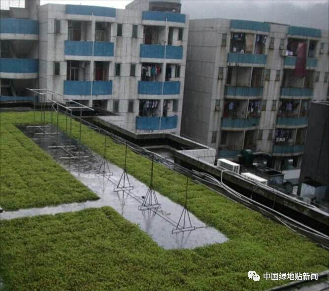 绿色建筑屋面的实践与设计 